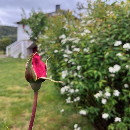 A Casina Casa Rural En Galicia 奥伦塞 外观 照片