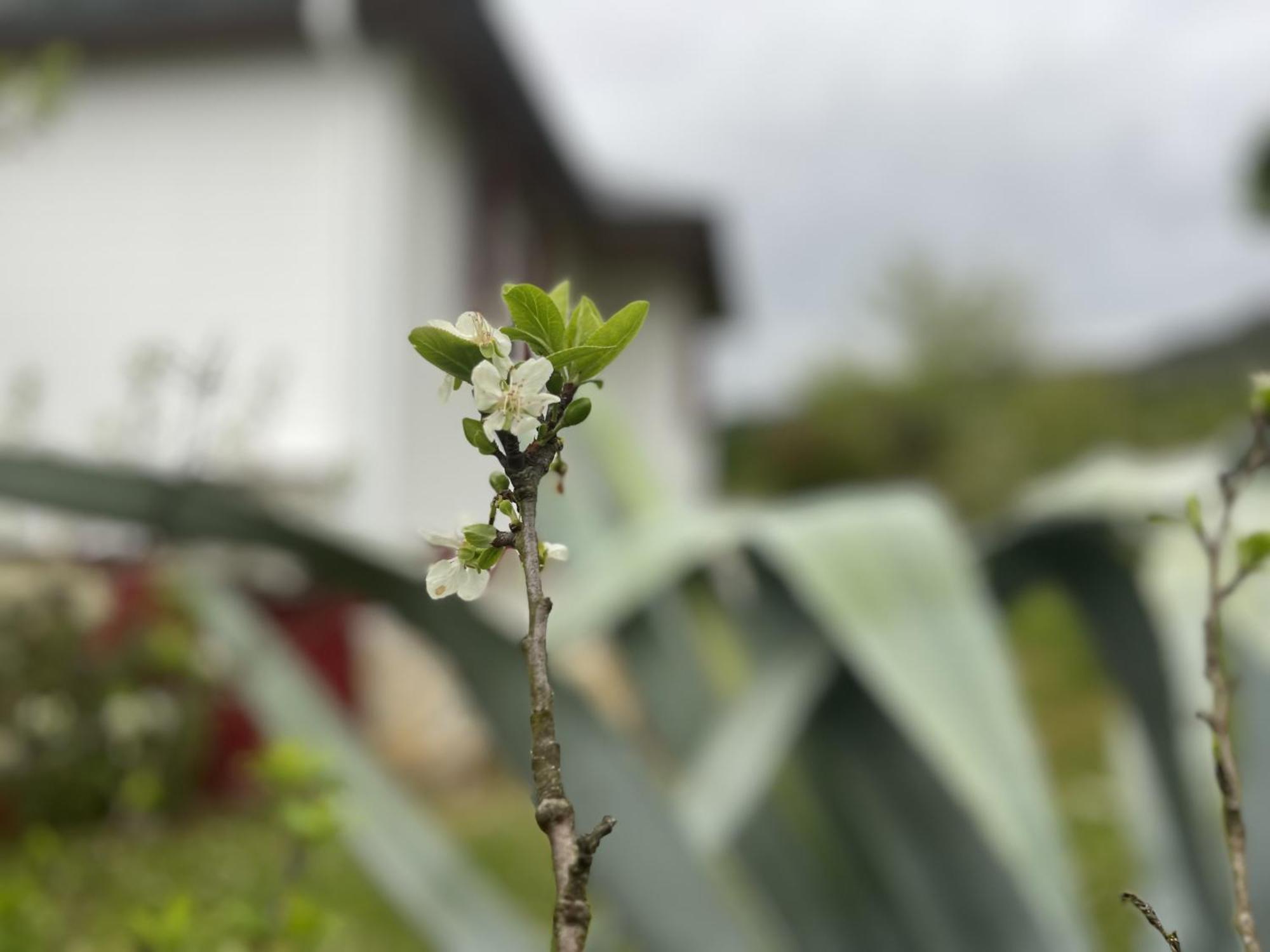 A Casina Casa Rural En Galicia 奥伦塞 客房 照片