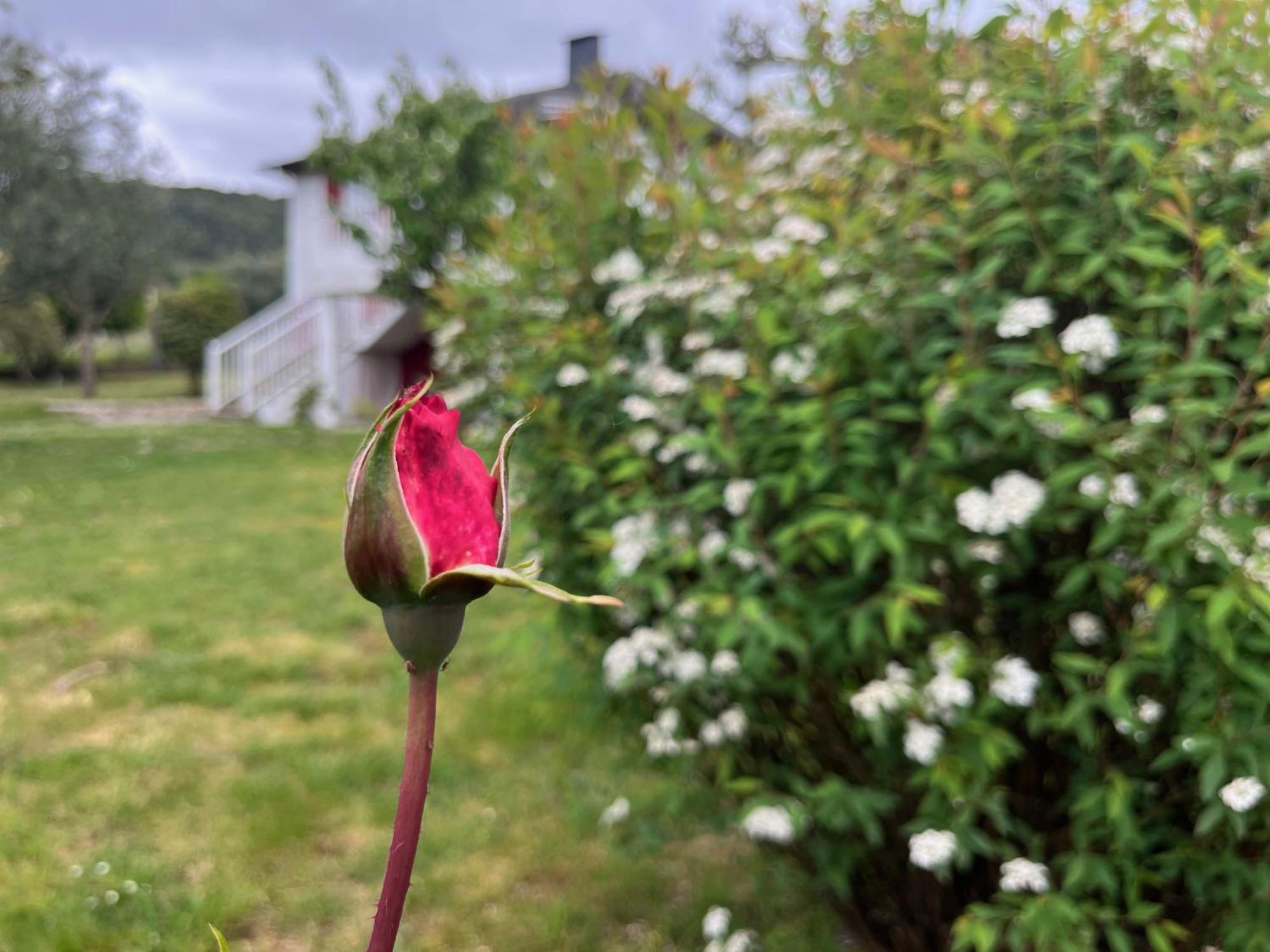 A Casina Casa Rural En Galicia 奥伦塞 外观 照片