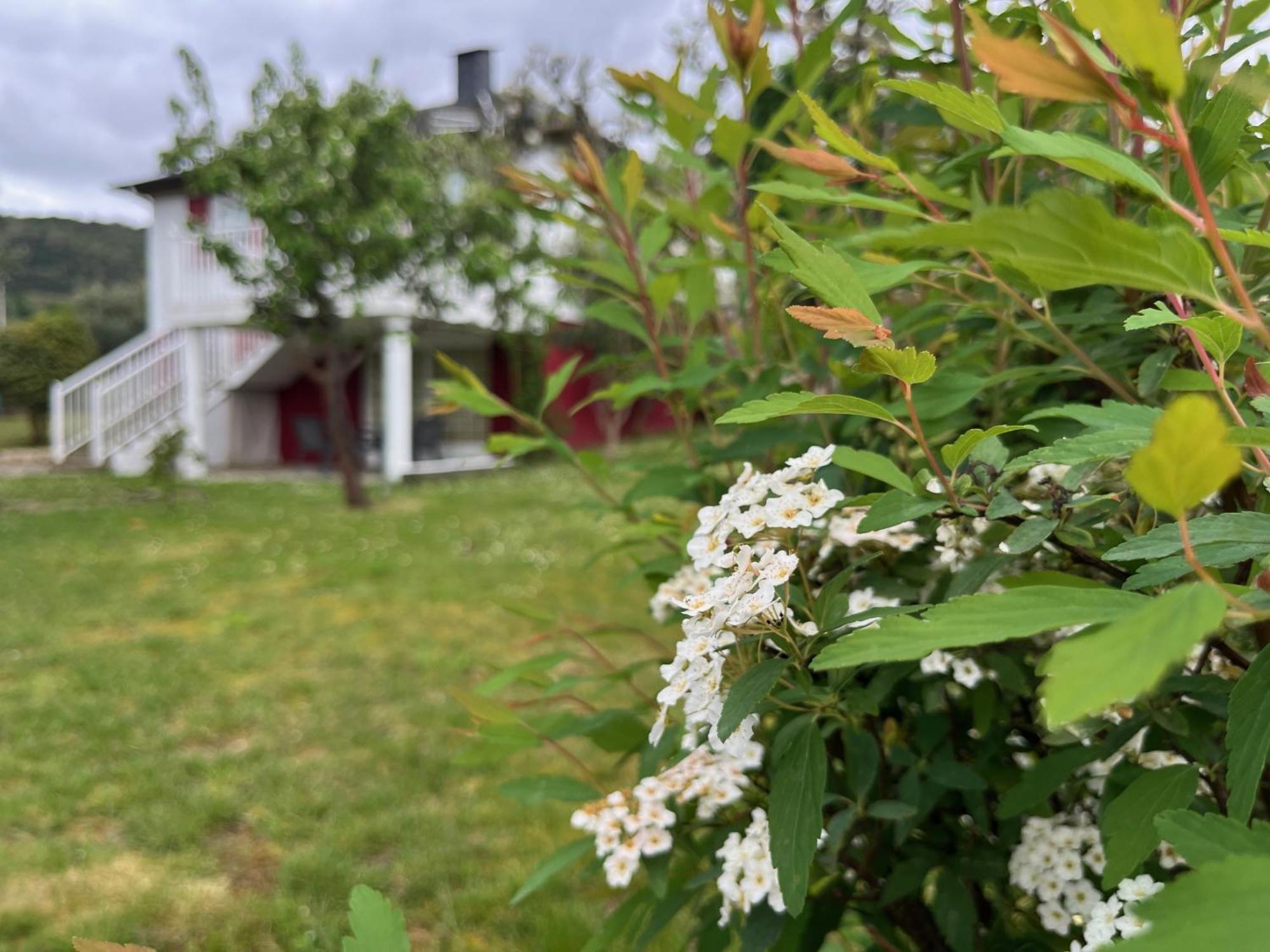 A Casina Casa Rural En Galicia 奥伦塞 外观 照片